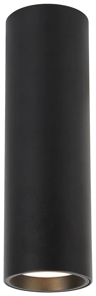 Stropné svietidlo Genesis, 1x čierne kovové tienidlo, (20 cm)