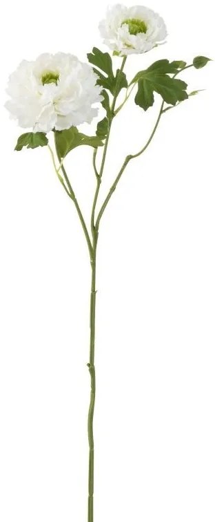 Biela kytička Iskerník - 56cm