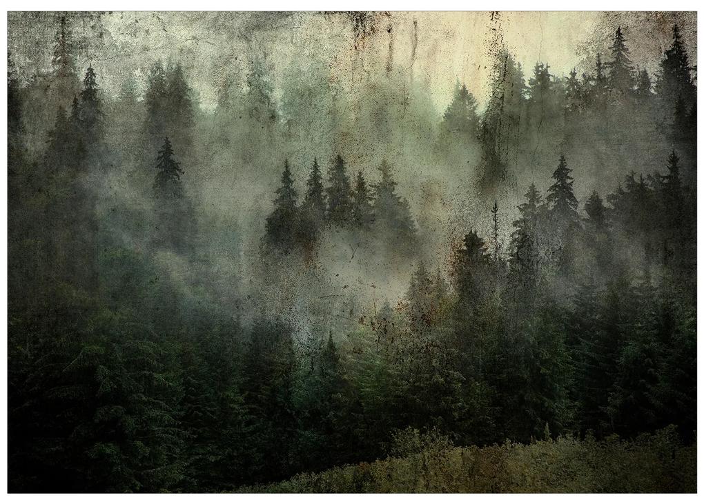 Artgeist Fototapeta - Misty Beauty of the Forest Veľkosť: 100x70, Verzia: Standard