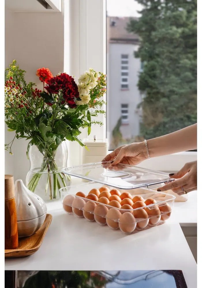 Plastový organizér do chladničky na vajíčka 33x21 cm – Casa De Engel