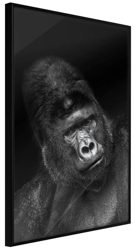 Artgeist Plagát - Gorilla [Poster] Veľkosť: 30x45, Verzia: Čierny rám s passe-partout