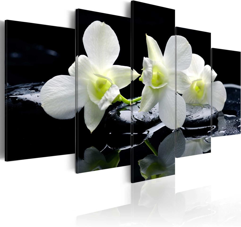 Obraz - Melancholic orchids 100x50