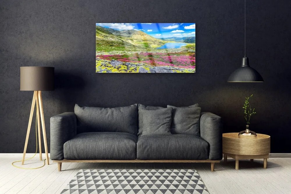 Obraz na akrylátovom skle Hora záliv lúka príroda 100x50 cm