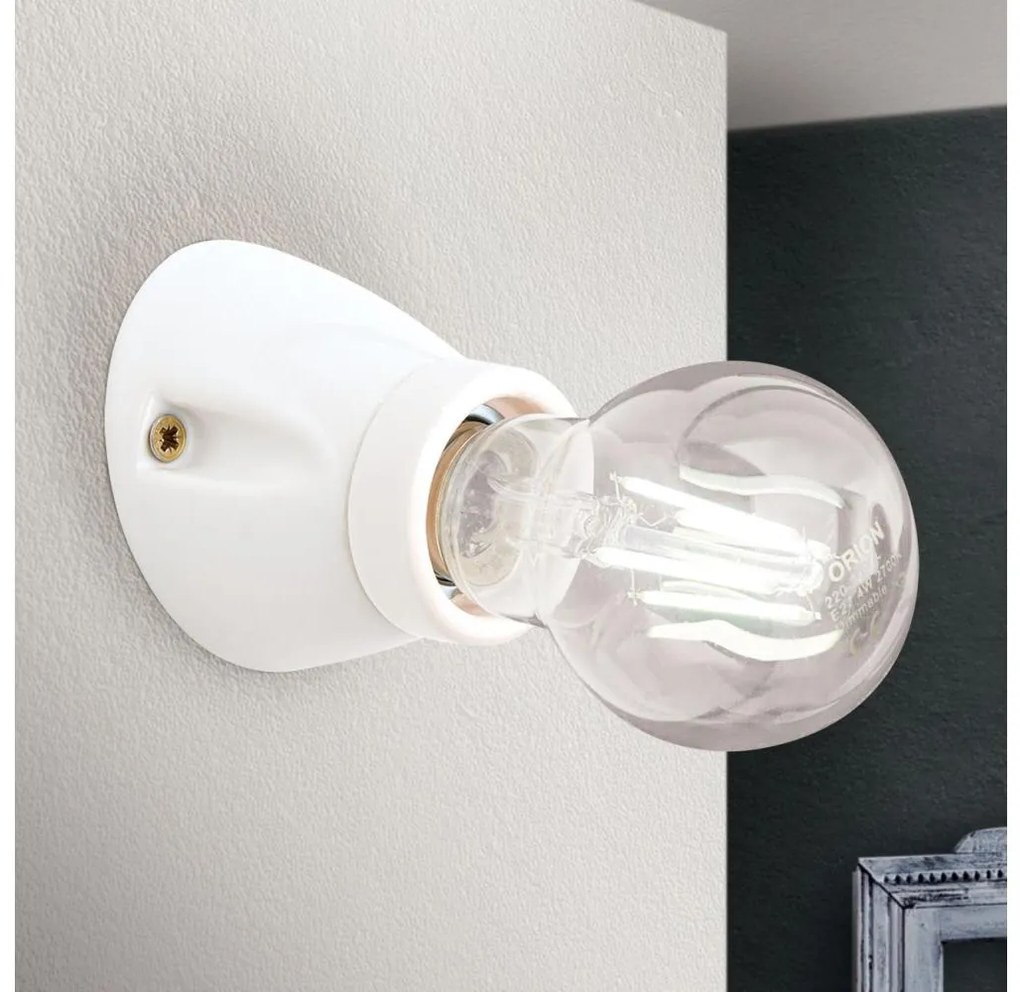 Orion - Nástenné svietidlo FROST 1xE27/60W/230V biele