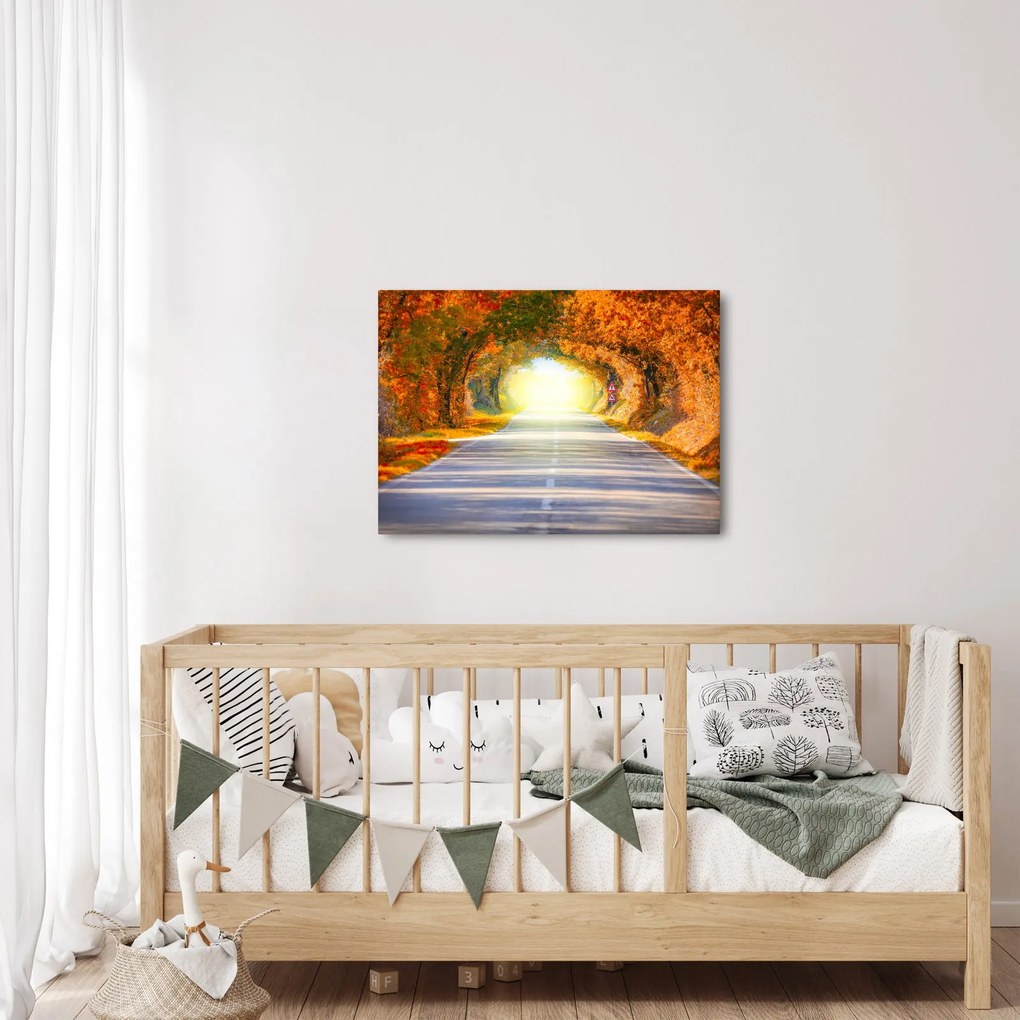 Obraz - Brána z korún stromov (70x50 cm)