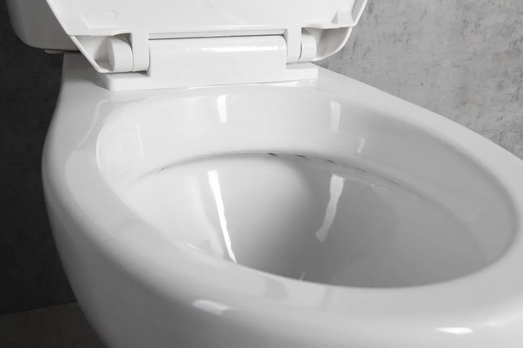 Aqualine MANUEL WC kombi, dvojtlačidlo 3/6l, spodný odpad, biela PS8814