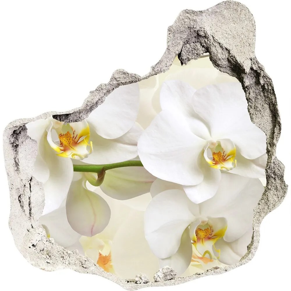 Fototapeta diera na stenu 3D Orchidea nd-p-123330197