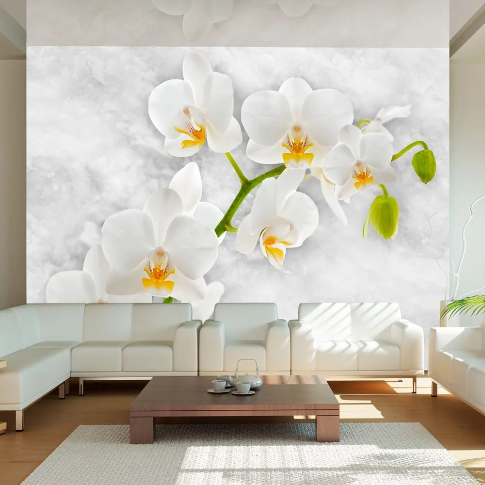 Fototapeta - Lyrická orchidea - biela 400x280 + zadarmo lepidlo