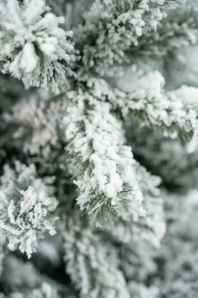 Limpol Vianočný stromček – zasnežená jedľa Gumis Výška stromčeka: 150 cm