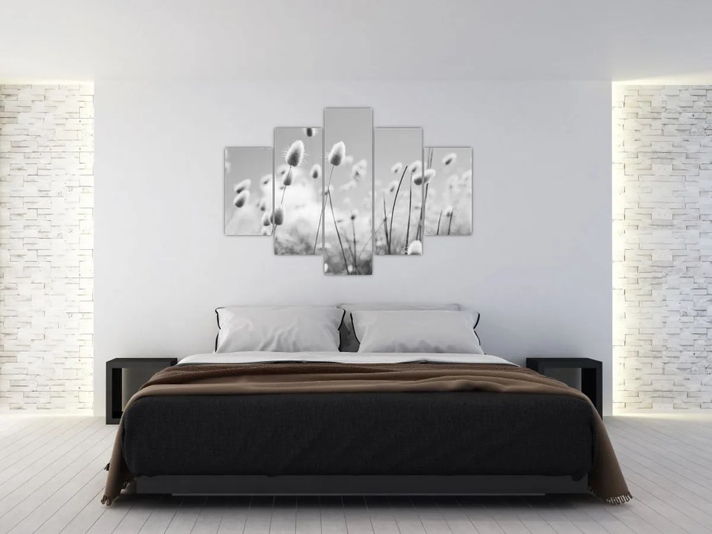 Obraz - Boho bunny tail grass (150x105 cm)