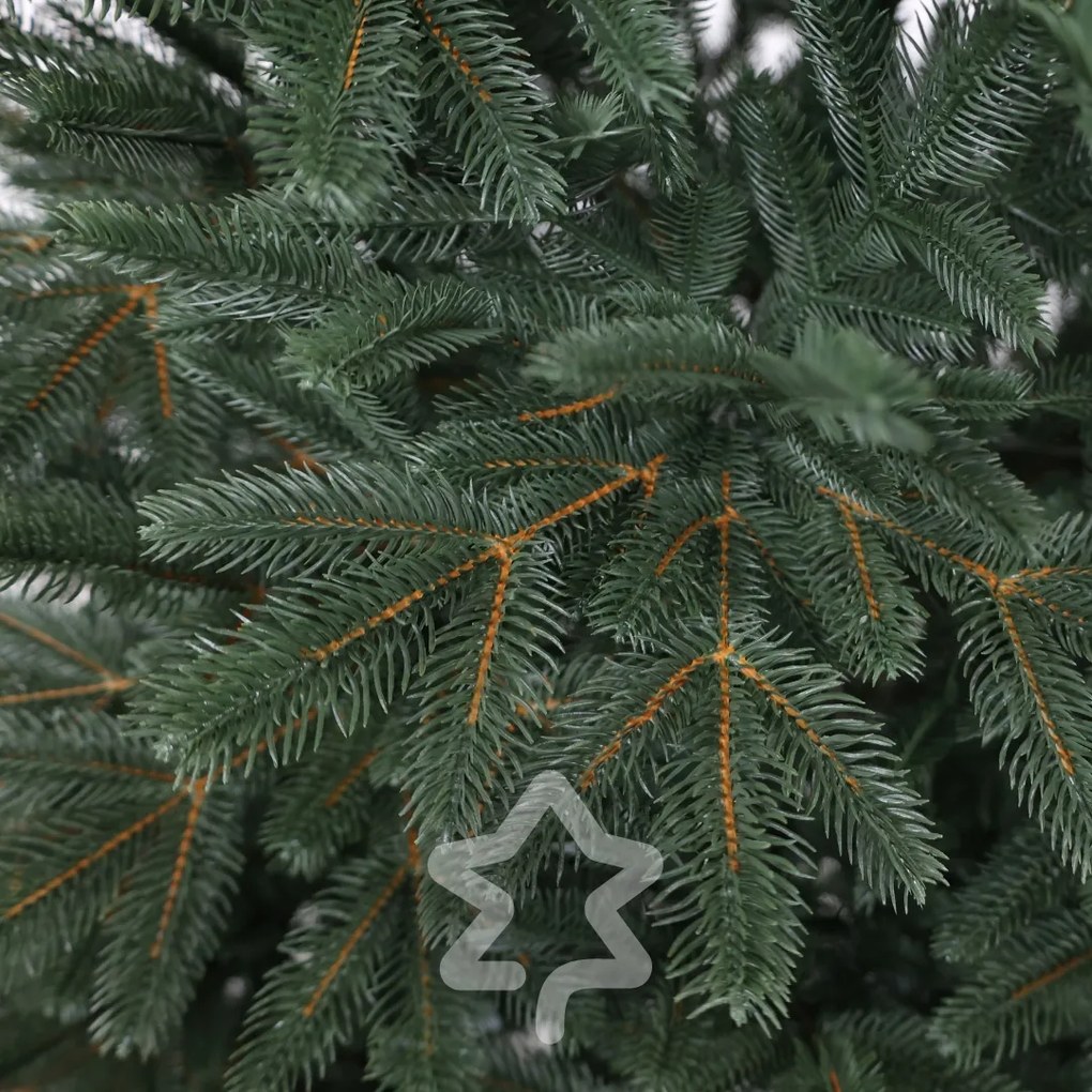 Jedľa Sibírska 100% 180 cm