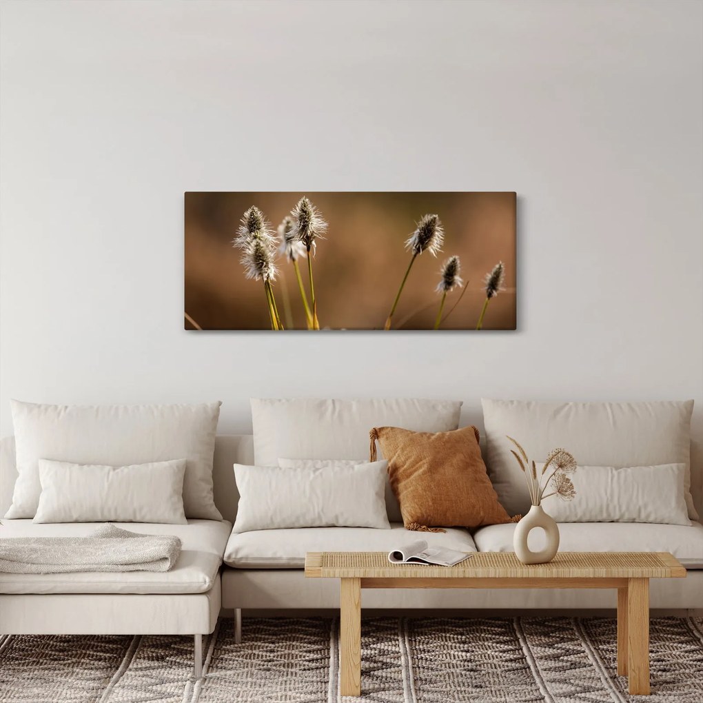Obraz - Travina (120x50 cm)