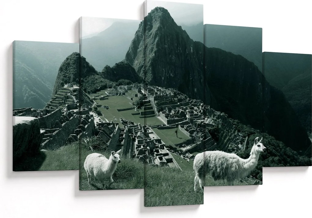 Obraz - Lamy na Machu Picchu v Peru (150x105 cm)