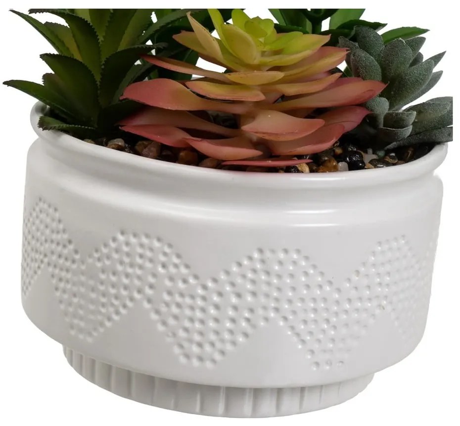 Umelé rastliny v súprave 2 ks (výška 19 cm) Cactus – Casa Selección
