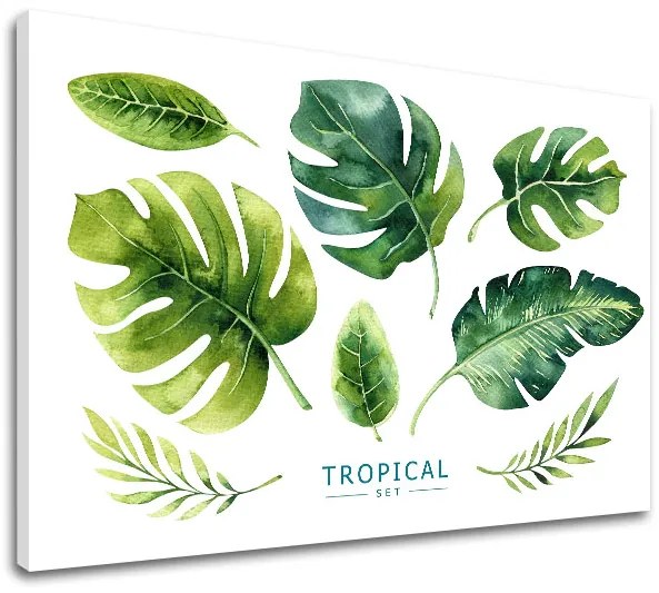 Obraz na stenu s textom Tropical set | rôzne rozmery