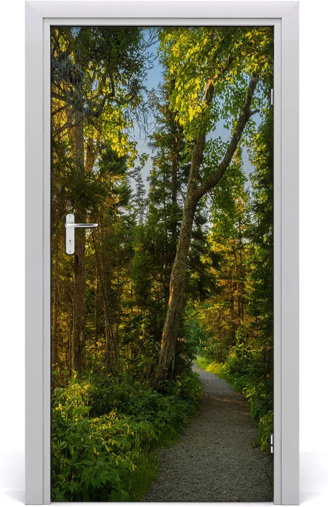 Fototapeta na dvere  chodník v lese
