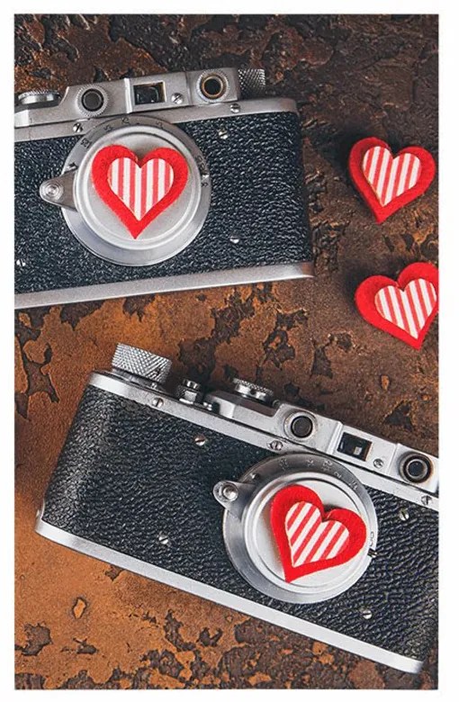 Plagát dva retro fotoaparáty - 30x45 silver