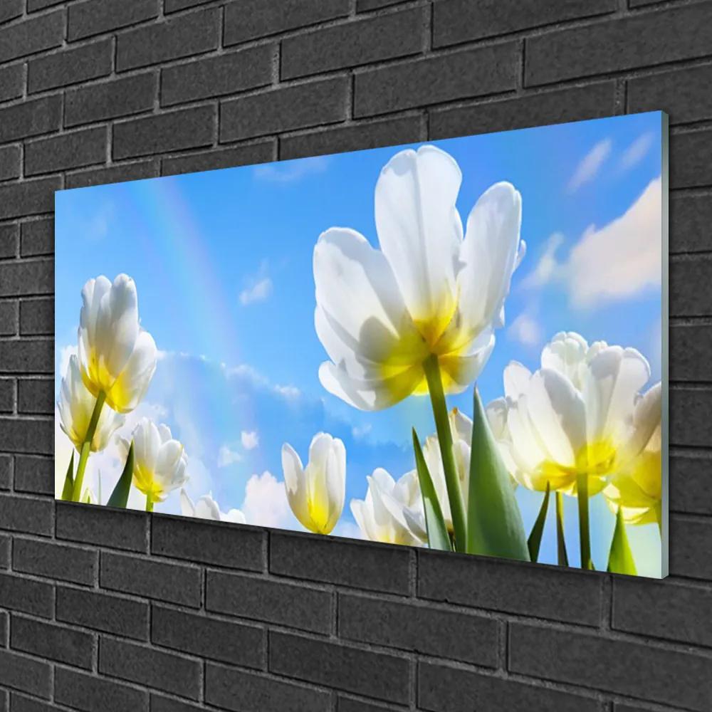 Skleneny obraz Rastliny kvety tulipány 125x50 cm