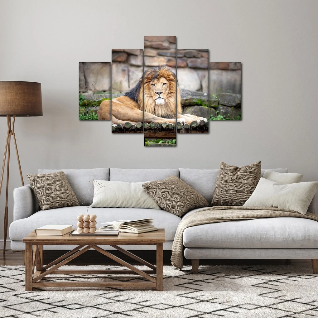 Obraz leva (150x105 cm)