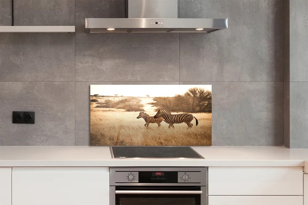 Nástenný panel  Zebra poľa sunset 125x50 cm