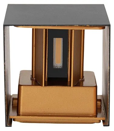 Vonkajšia nástenná lampa čierna so zlatom vrátane LED 2-svetlo IP54 - Edwin