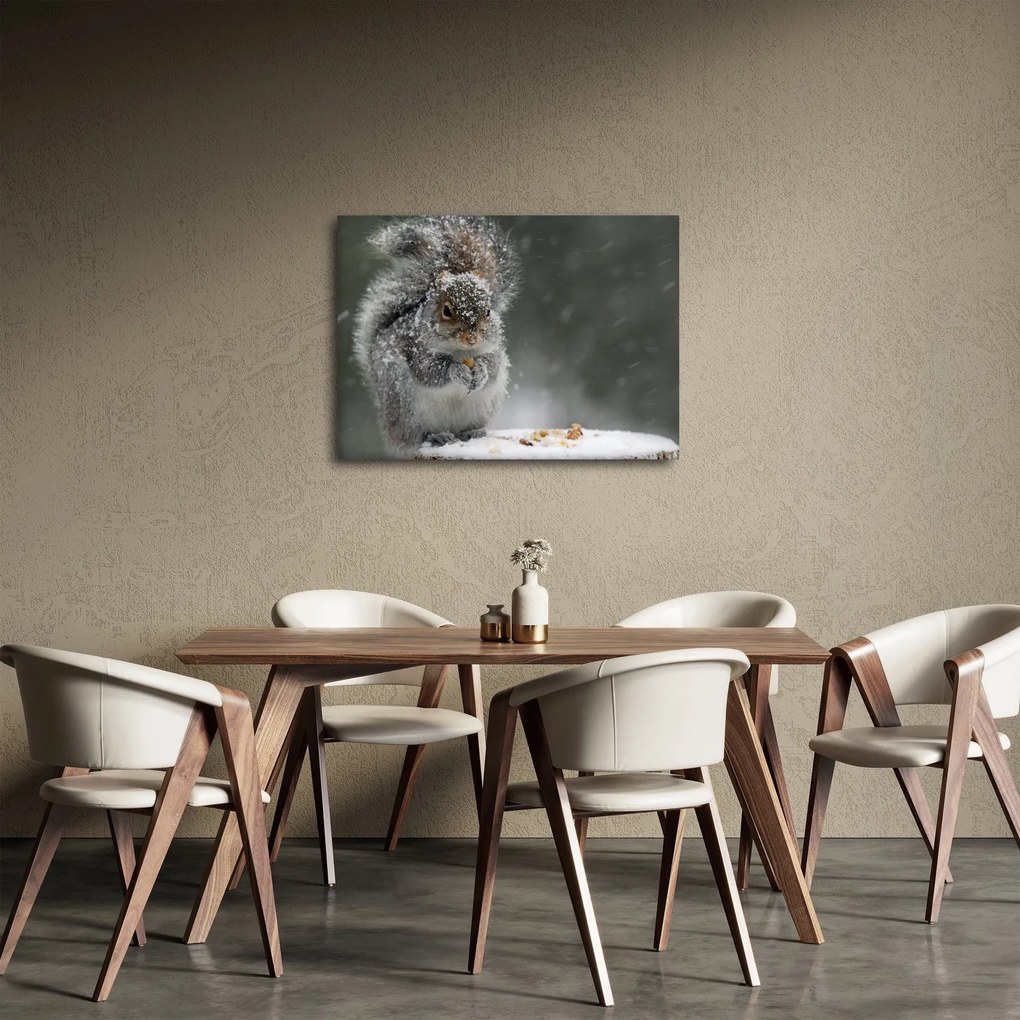 Obraz - Veverička v zime (70x50 cm)