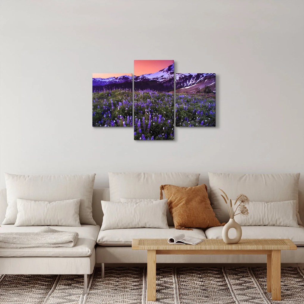 Obraz - Sopka a kvety (90x60 cm)