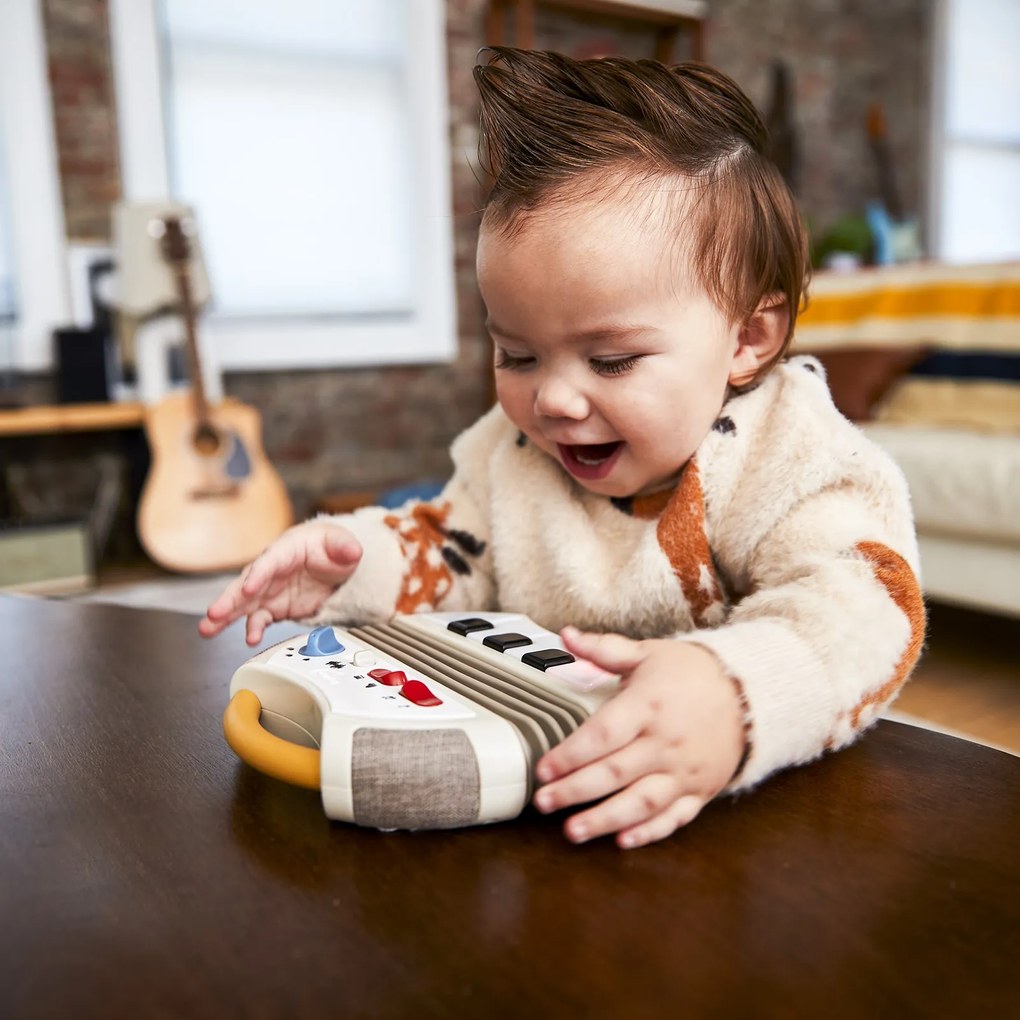 Hudobný akordeón Tiny Rockers