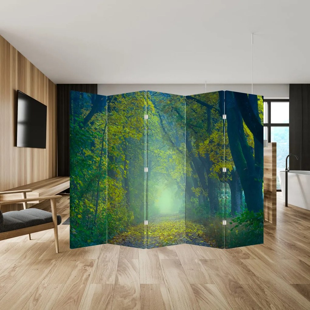 Paraván - Cesta lemovaná stromami (210x170 cm)