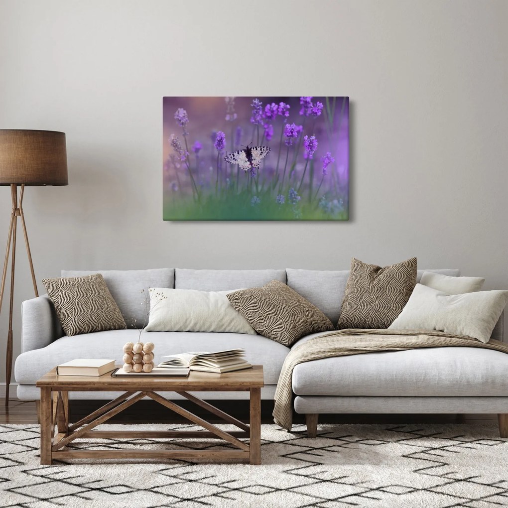 Obraz - Motýľ v levanduli (90x60 cm)