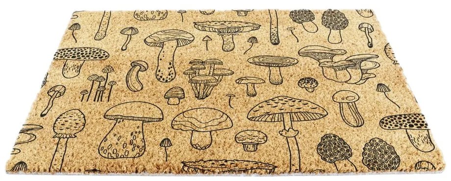 Rohožka z kokosového vlákna 40x60 cm Mushrooms – Artsy Doormats