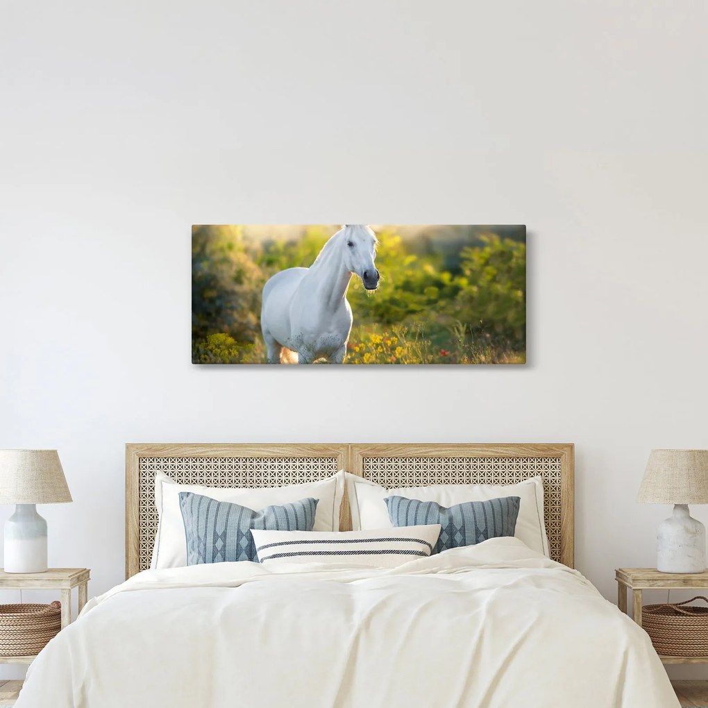 Obraz bieleho koňa na lúke (120x50 cm)