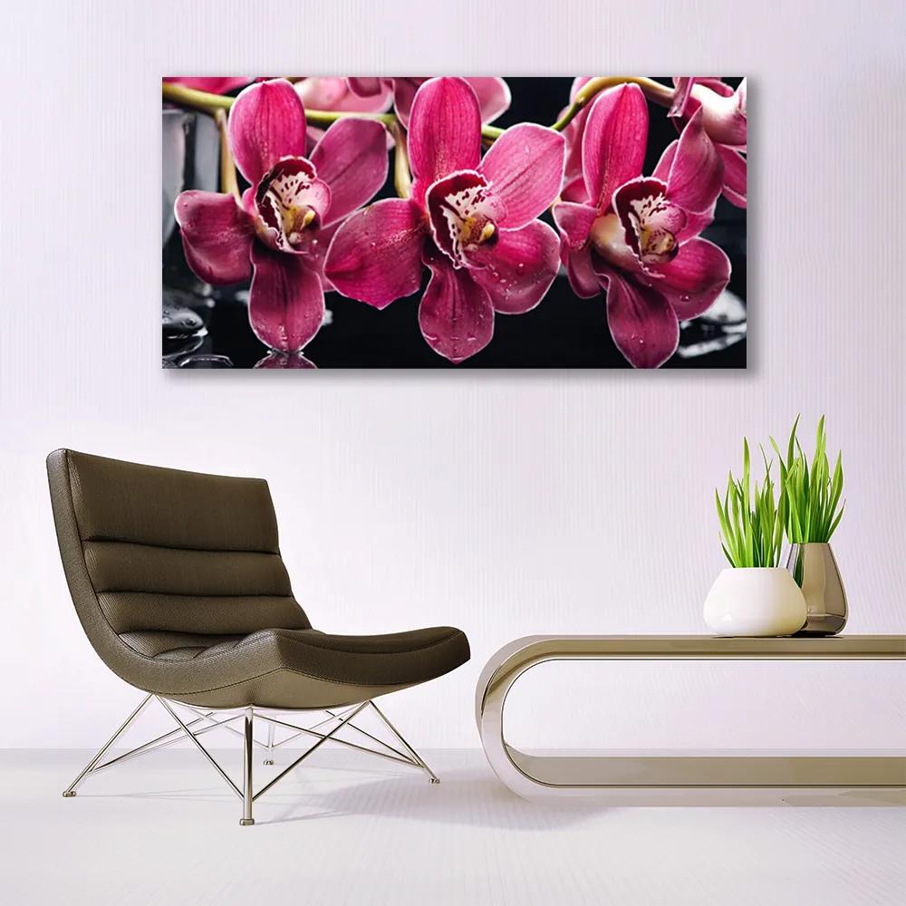 Obraz plexi Kvety orchidey výhonky príroda 120x60 cm