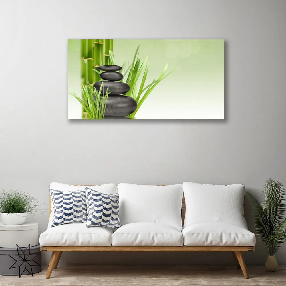 Obraz Canvas Bambus tráva rastlina príroda 100x50 cm