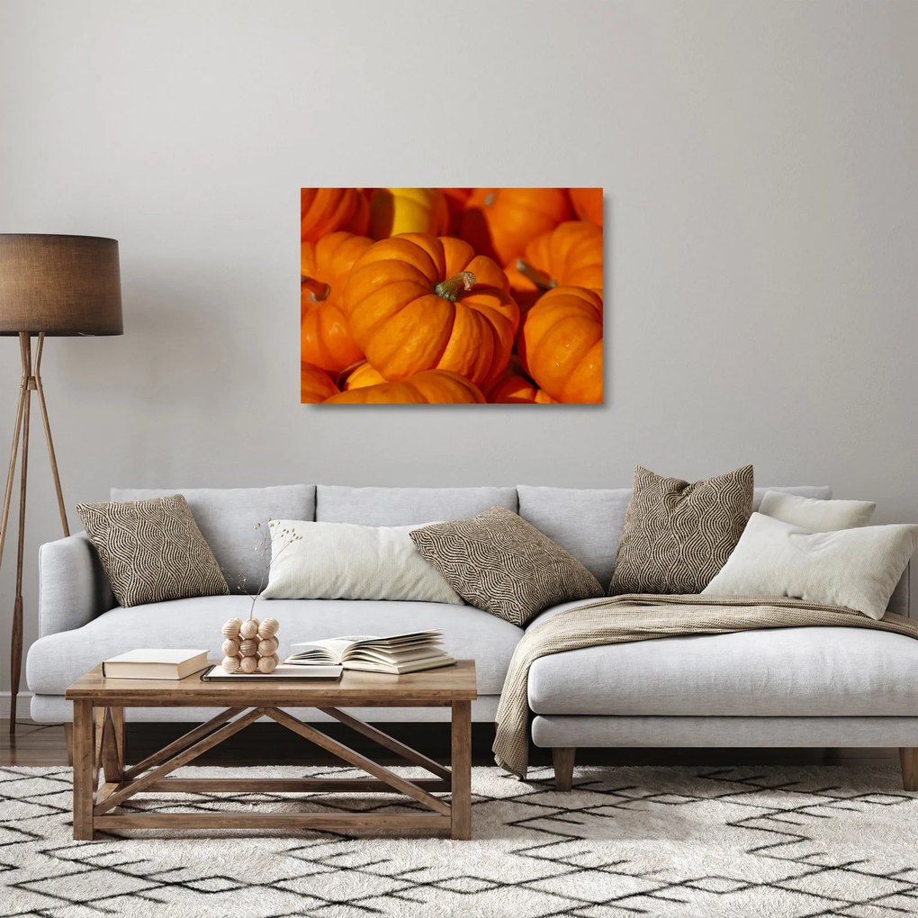 Sklenený obraz - Veľké tekvice (70x50 cm)