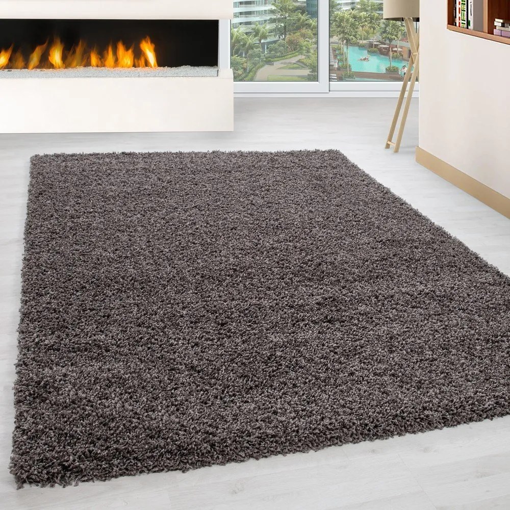 Hnedý koberec 200x290 cm Life – Ayyildiz Carpets