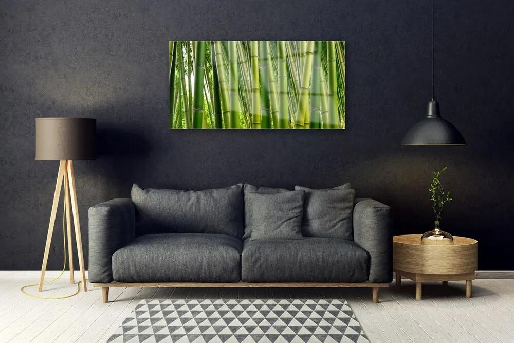 Skleneny obraz Bambusový les bambusové výhonky 120x60 cm