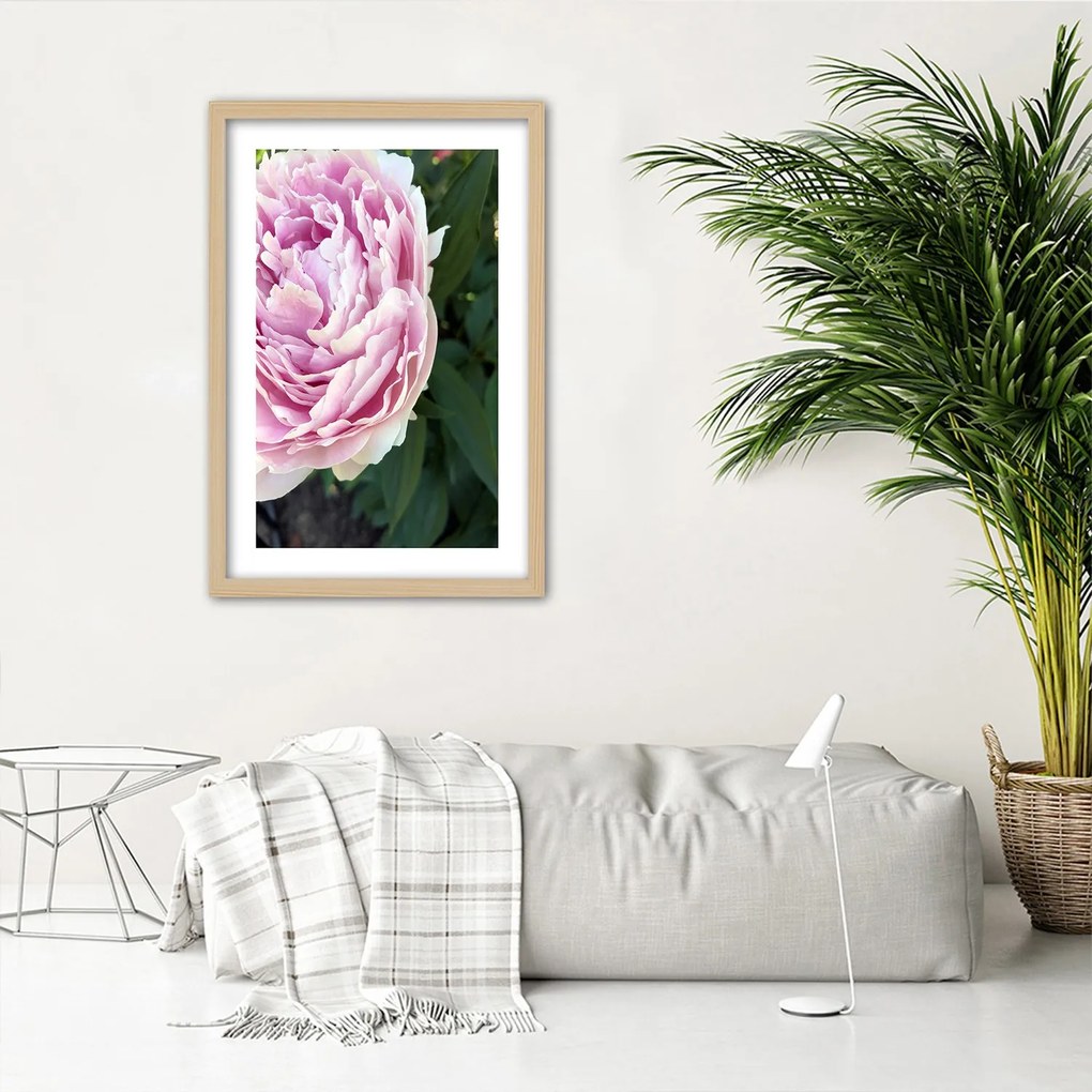 Gario Plagát Pekná ružová pivonka Farba rámu: Bez rámu, Rozmery: 20 x 30 cm
