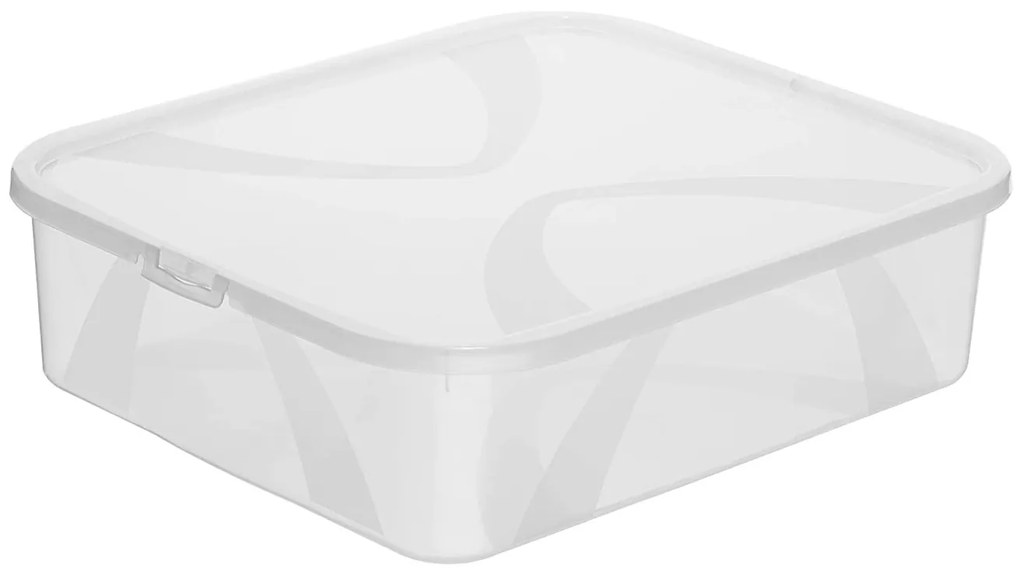Úložný box, transparentní krabice s víkem, Rotho LONA, 42x35x11 (12l)