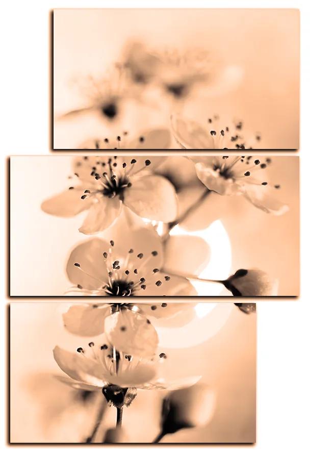 Obraz na plátne - Malé kvety na vetve - obdĺžnik 7173FD (105x70 cm)