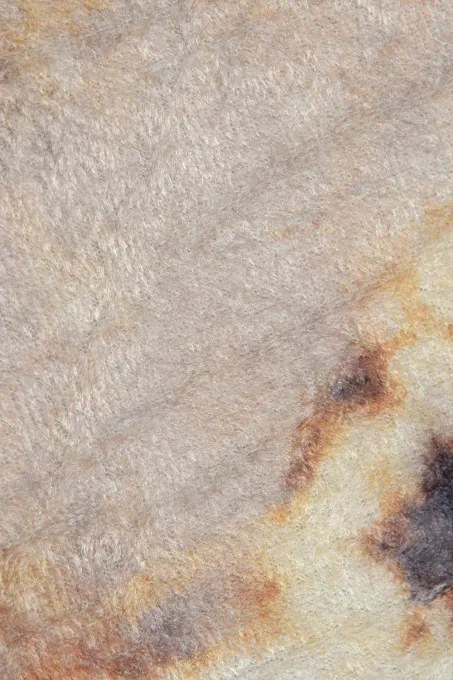 Koberec MILANO 40012-01 hnedý / krémový