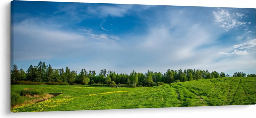 Obraz lúky (120x50 cm)