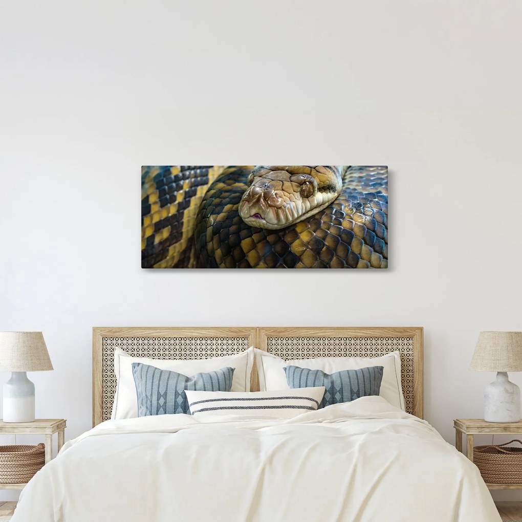 Obraz - Pytón (120x50 cm)