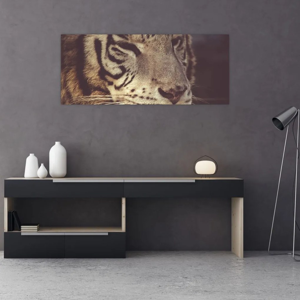 Obraz tigra (120x50 cm)