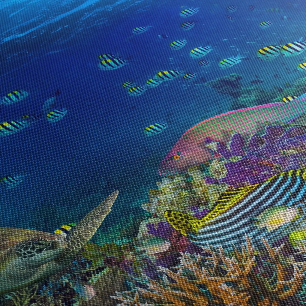 Obraz - Oceán (90x60 cm)