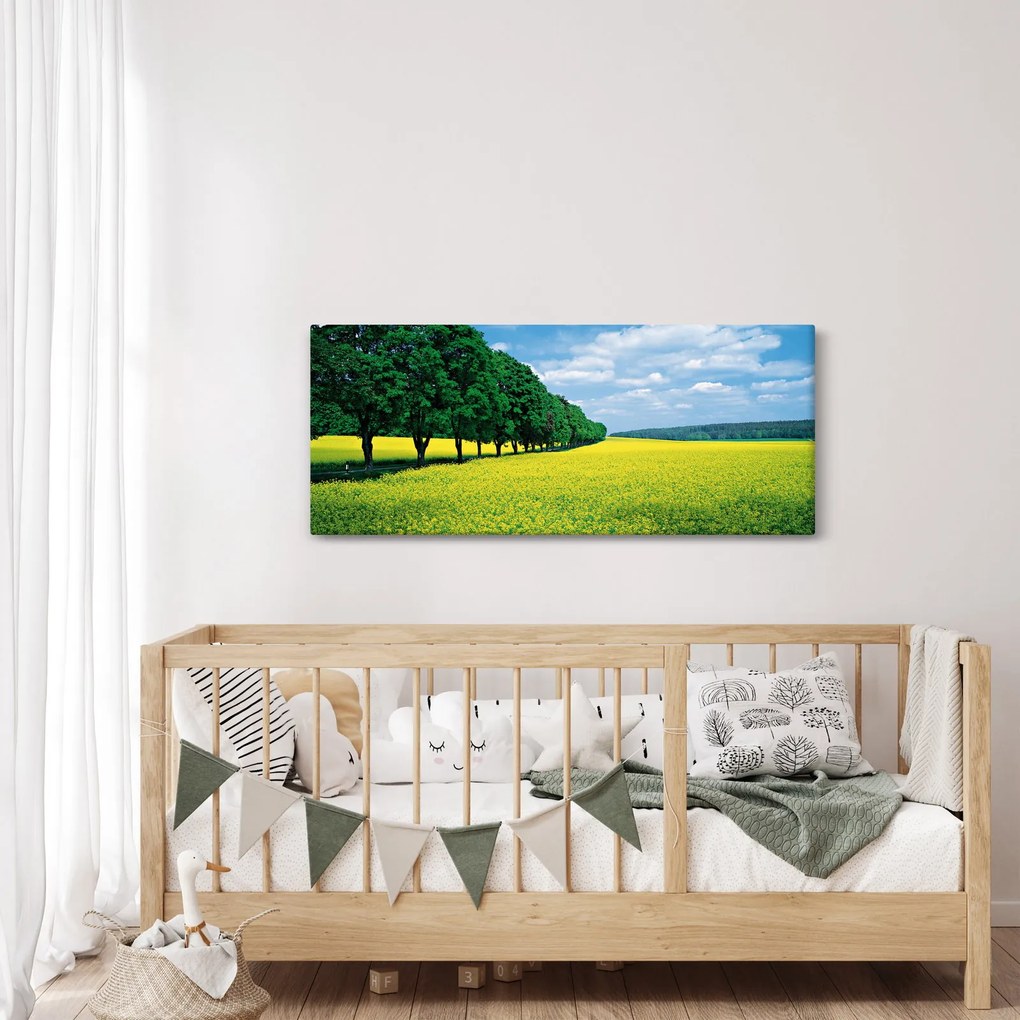Obraz poľa s alejou (120x50 cm)