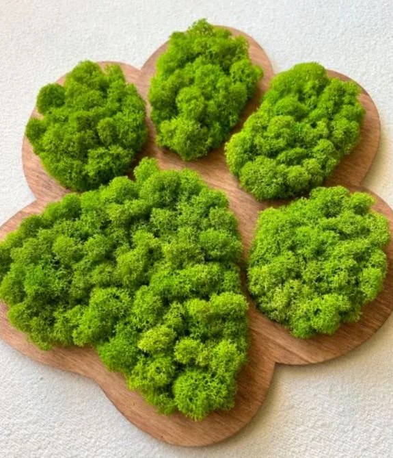 Machový obraz Labka 30 cm