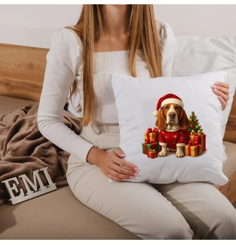 Vianočný vankúš Buddy 40x40 cm EMI