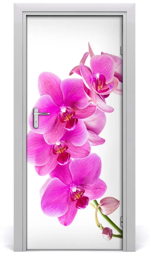 Fototapeta samolepiace ružová orchidea 75x205 cm