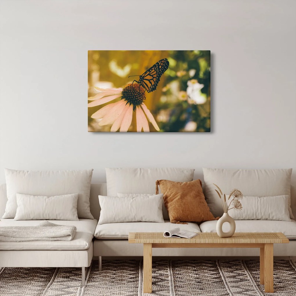 Obraz motýľa na kvetine (90x60 cm)